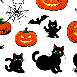 cats playing with spiders webs